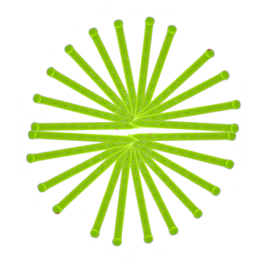ไม้คั้นแกนเล็ก เขียว