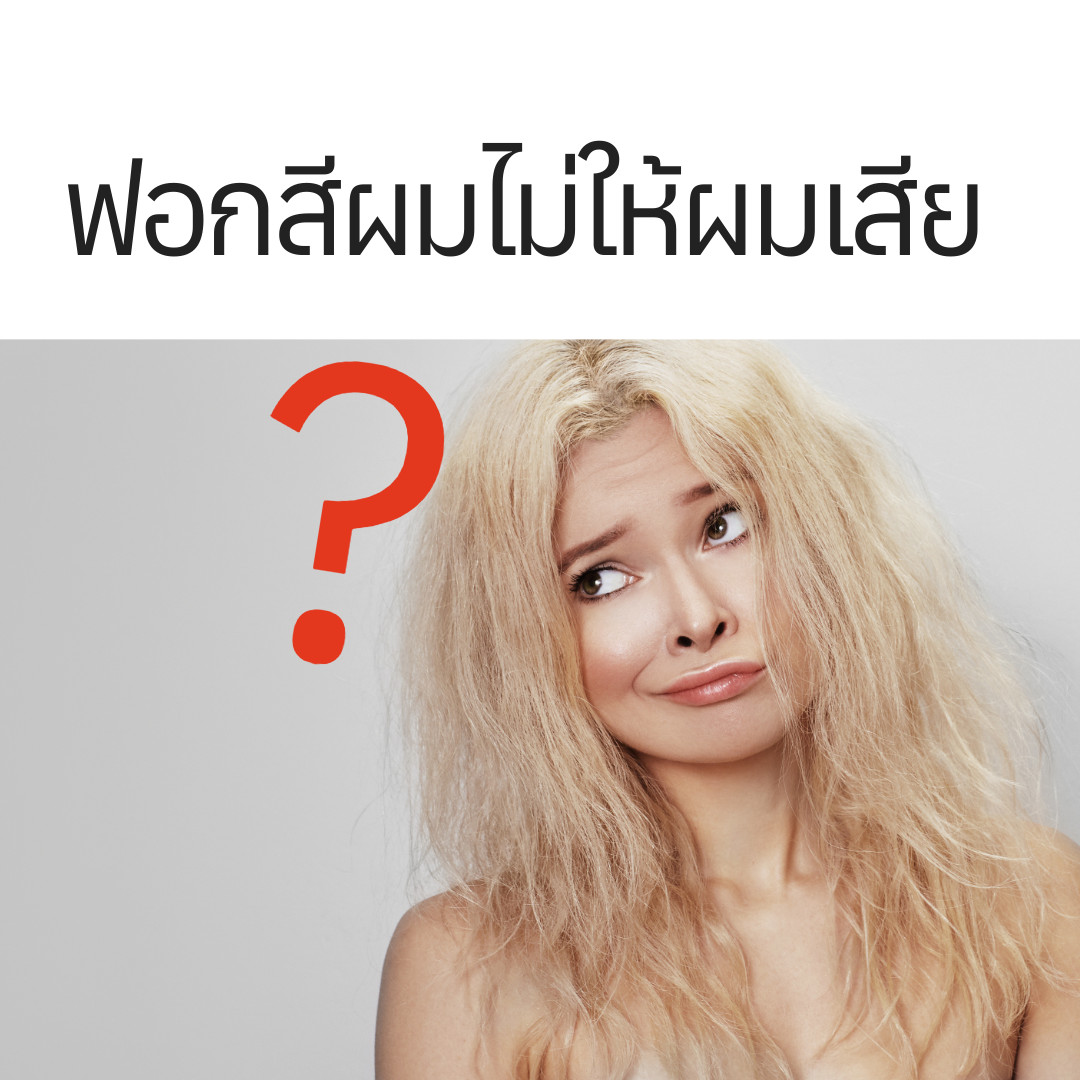 บทความ enie salon
