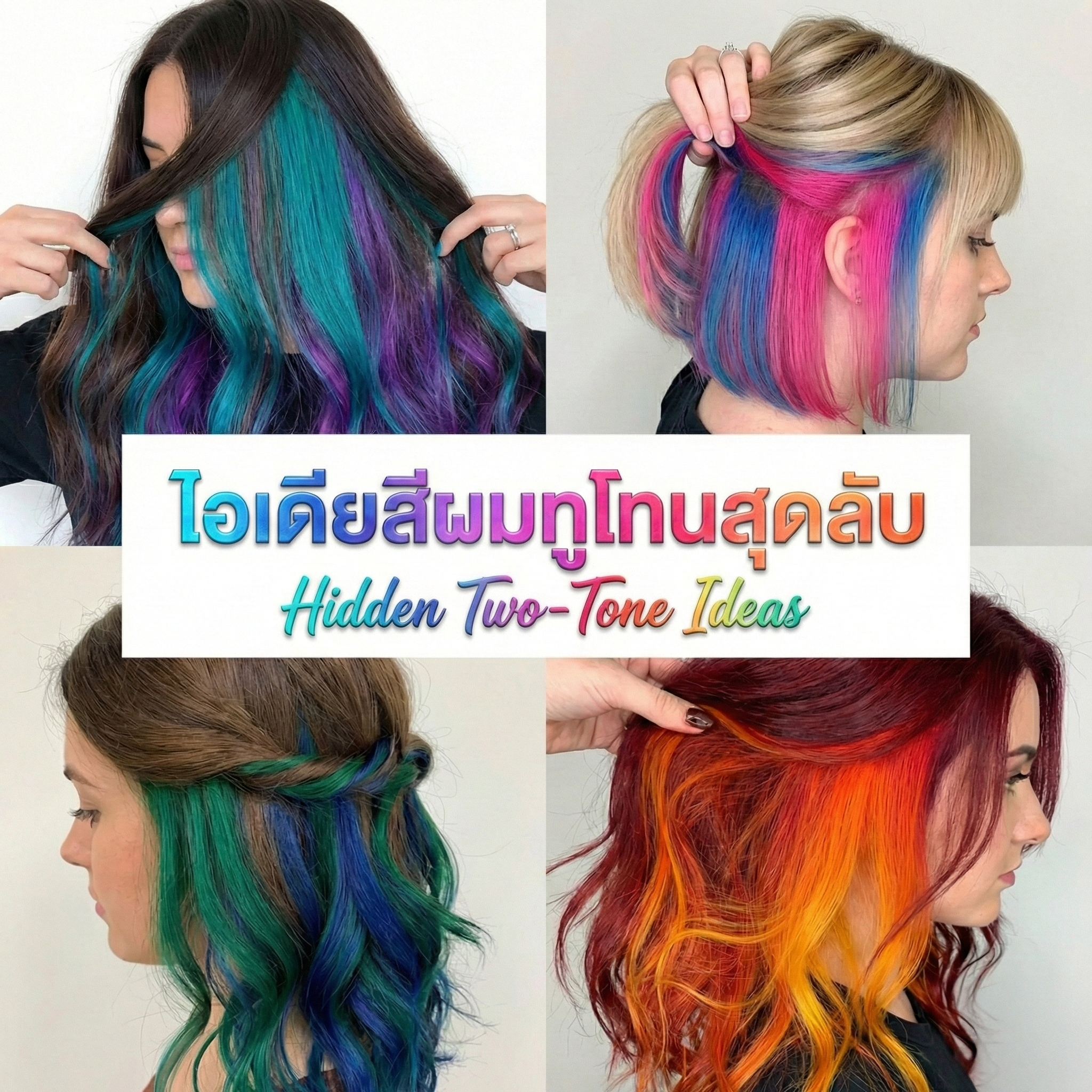 บทความ enie salon