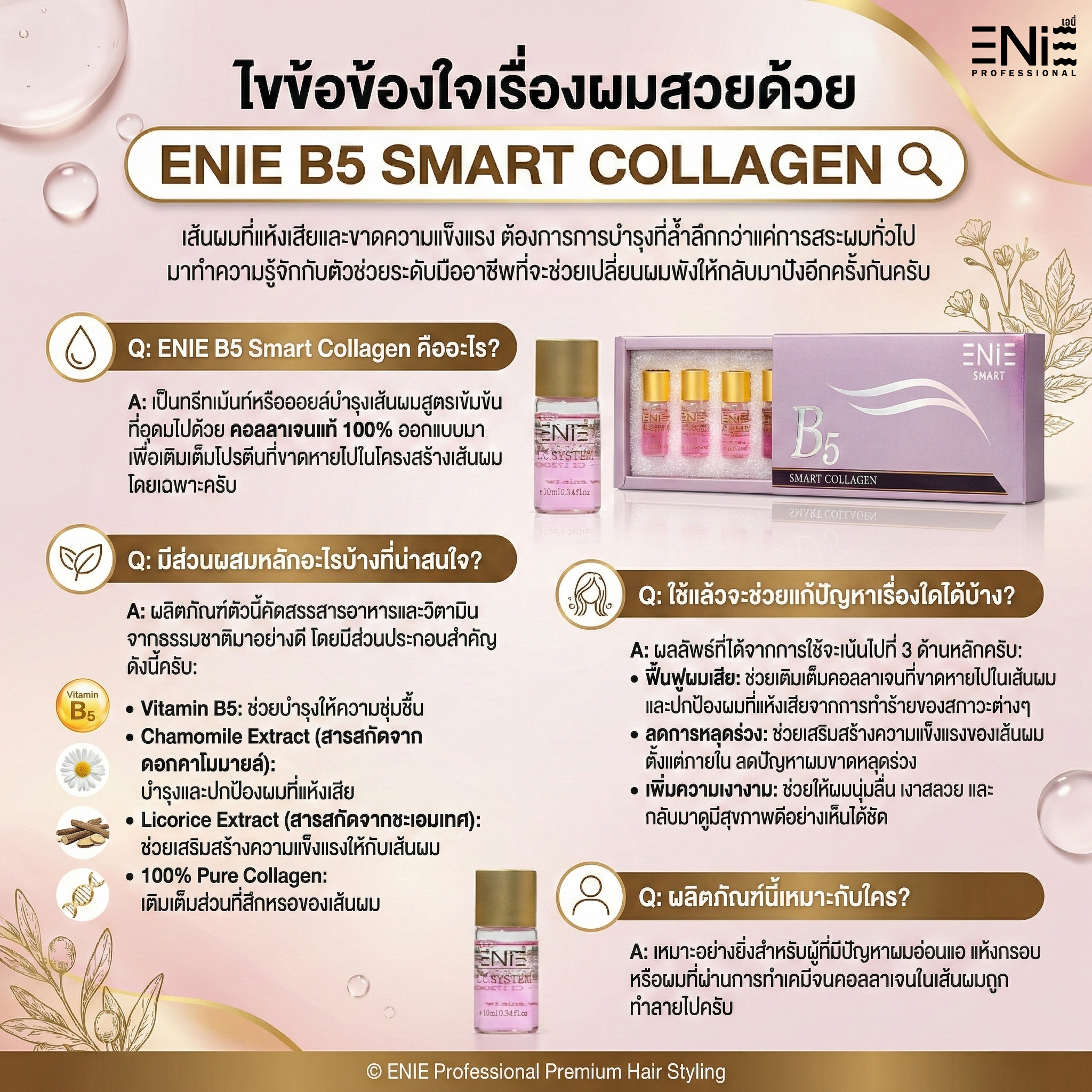 บทความ enie salon