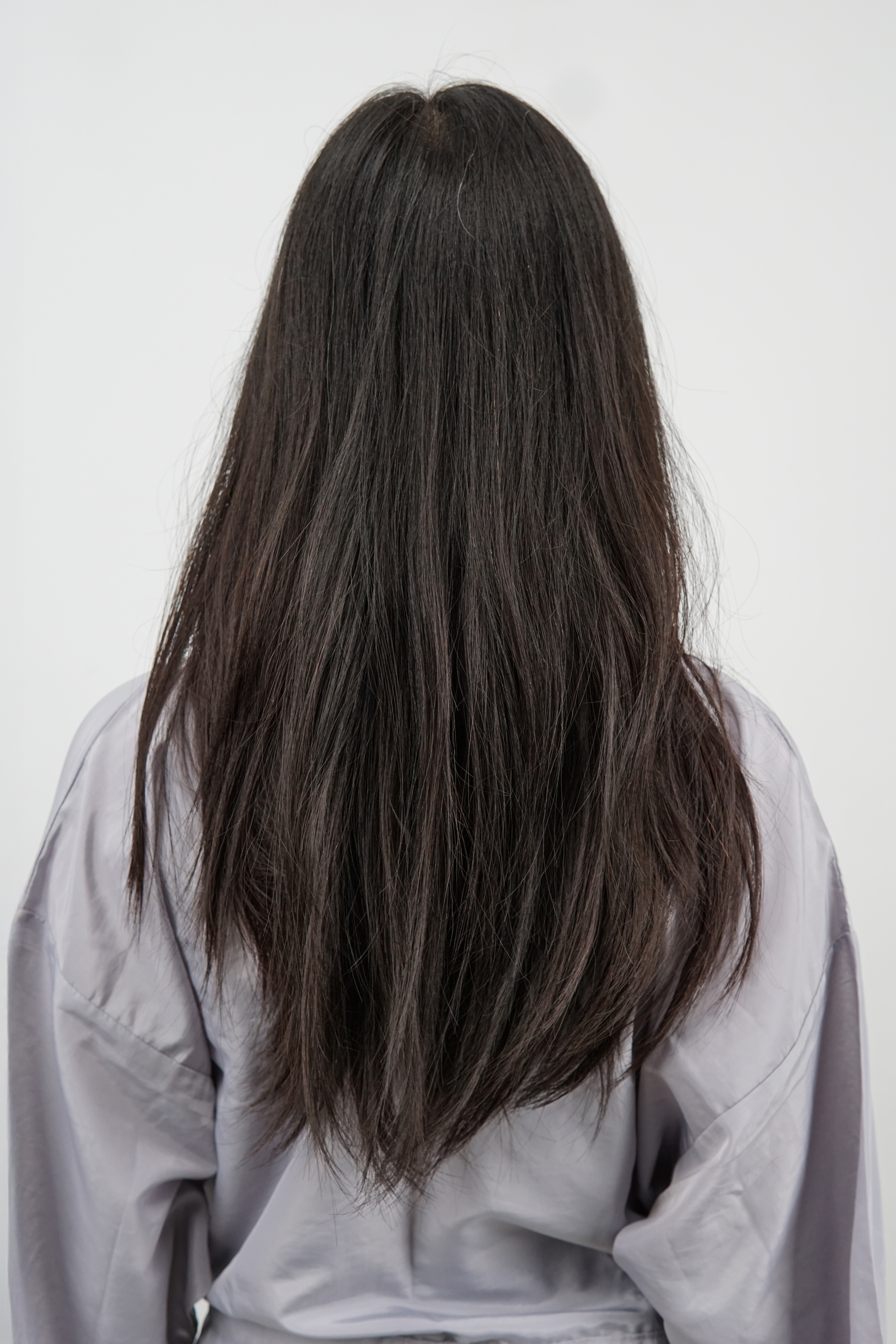 Velvet Muse Wave