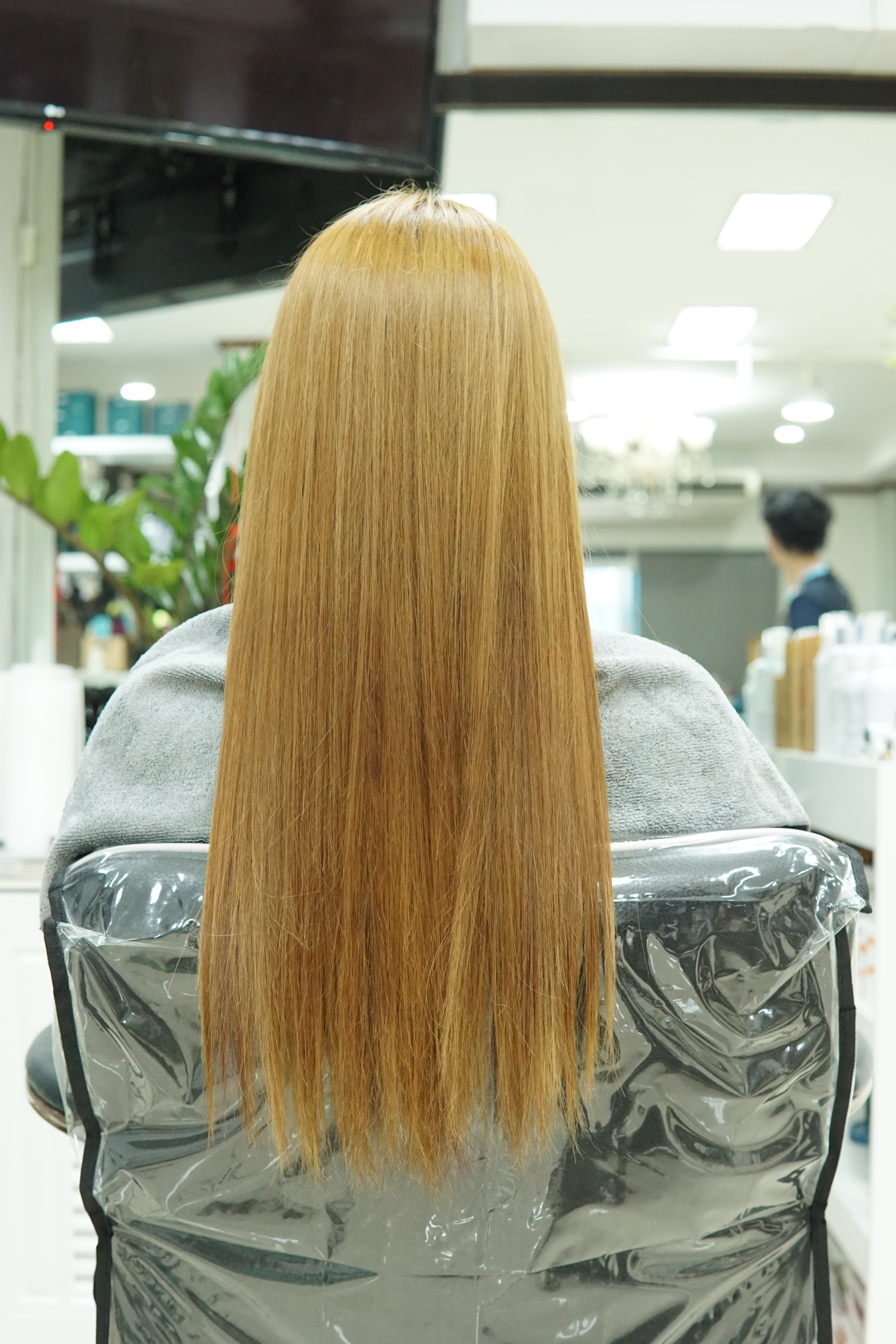 Cocoa Beige Brown
