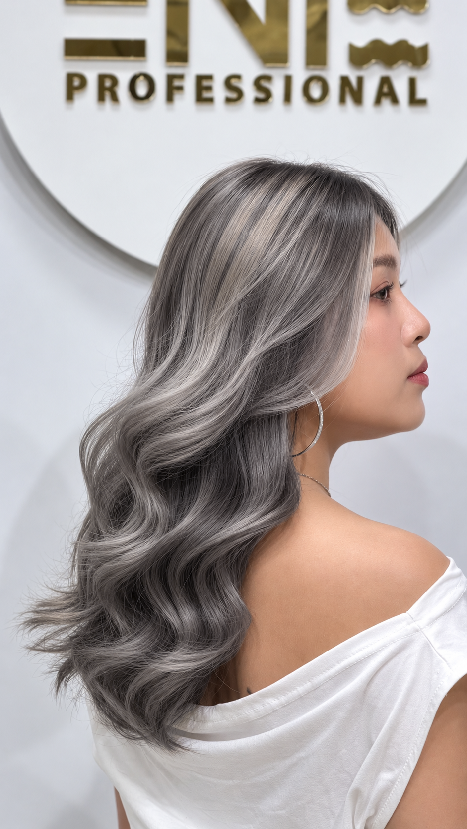 Smoky Silver Greige